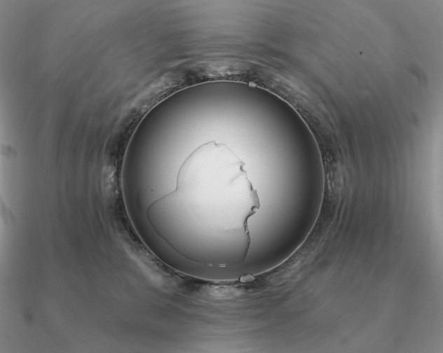 X0000090910327200708061528