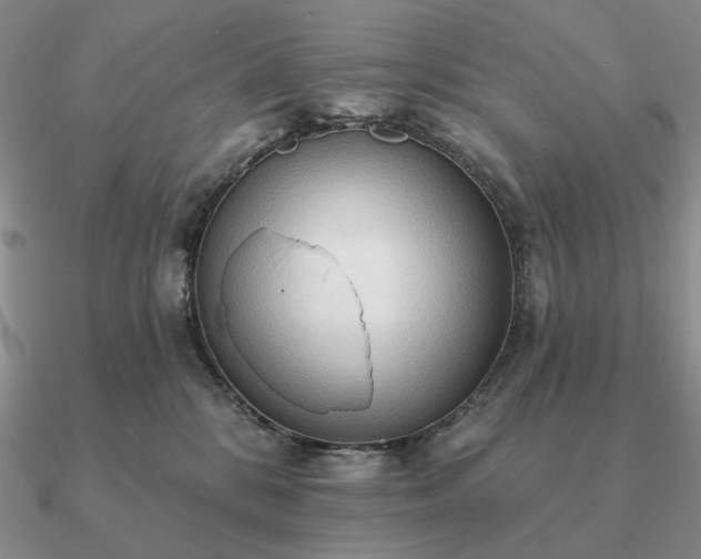 X0000090910328200708061527