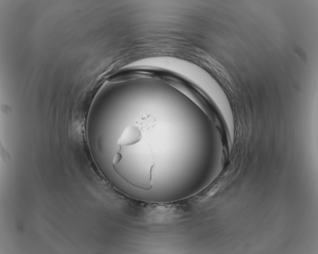 X0000090910329200708061527