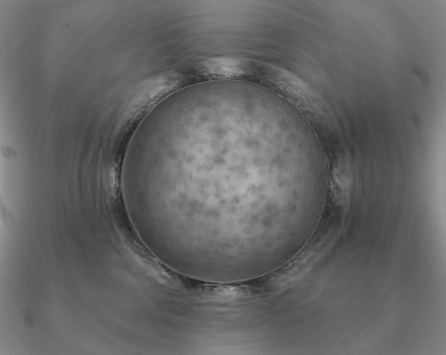 X0000090910330200708061527