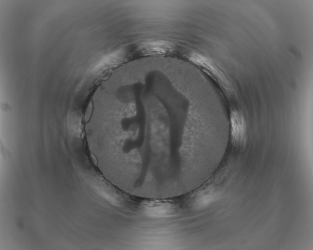 X0000090910331200708061527