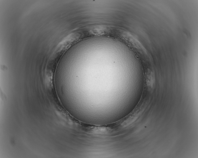 X0000090910332200708061527