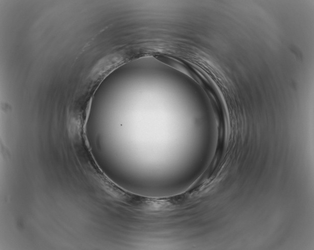 X0000090910333200708061527