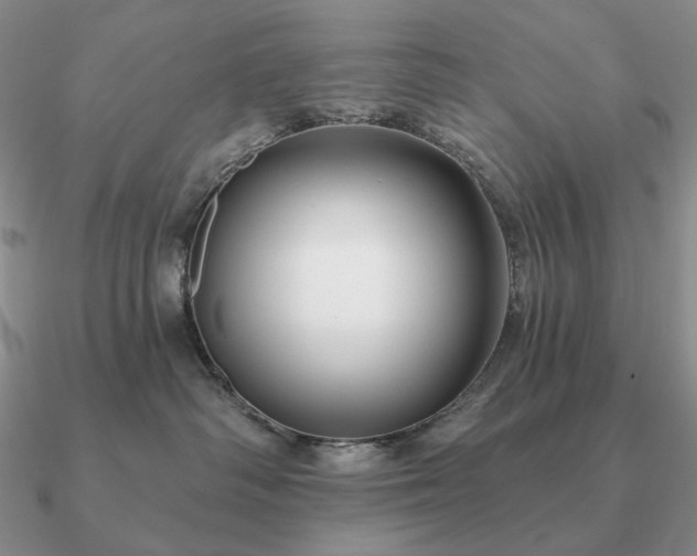 X0000090910334200708061527