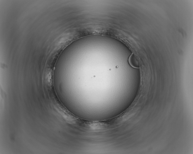 X0000090910336200708061527