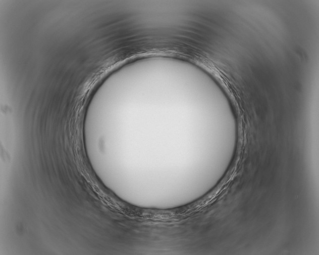 X0000090910337200708061527