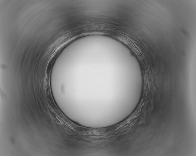 X0000090910338200708061527