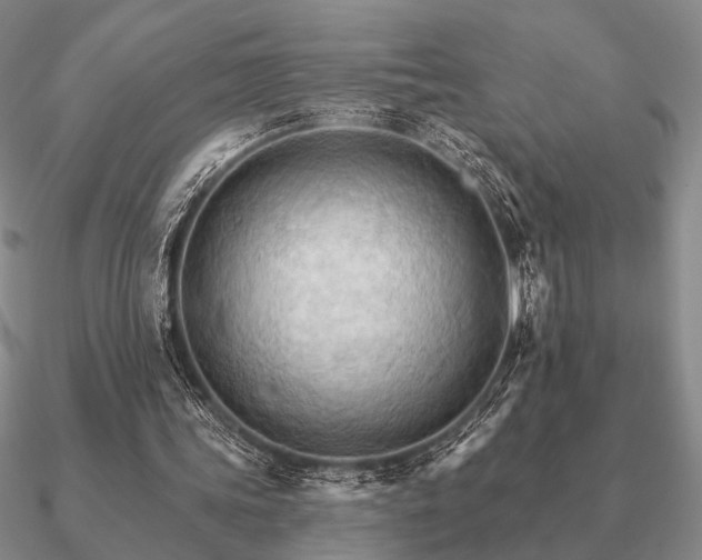 X0000090910339200708061527