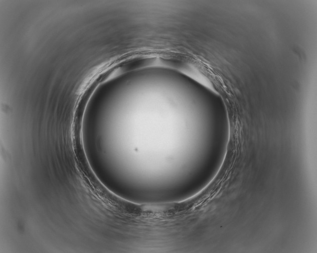 X0000090910340200708061527