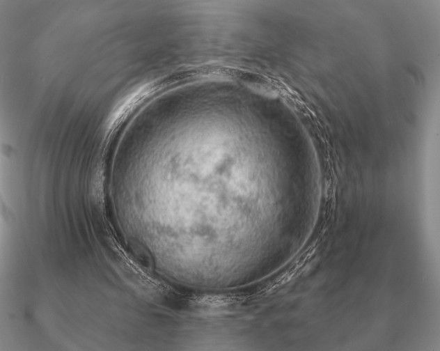 X0000090910341200708061527