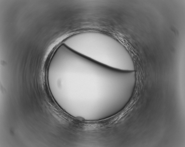 X0000090910342200708061527