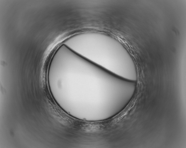 X0000090910343200708061527