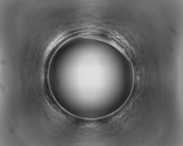 X0000090910344200708061527