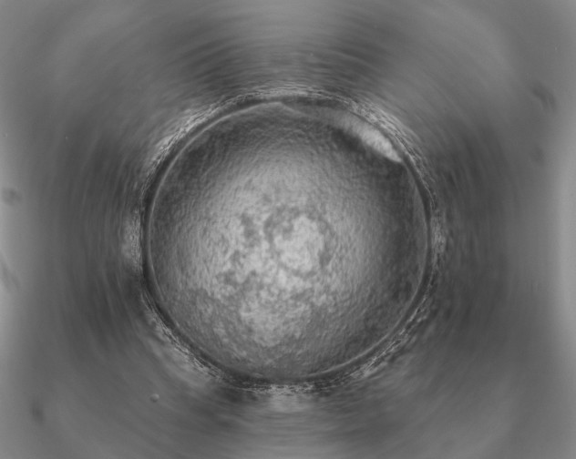 X0000090910345200708061527