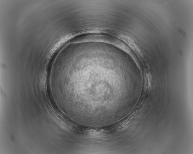 X0000090910346200708061527