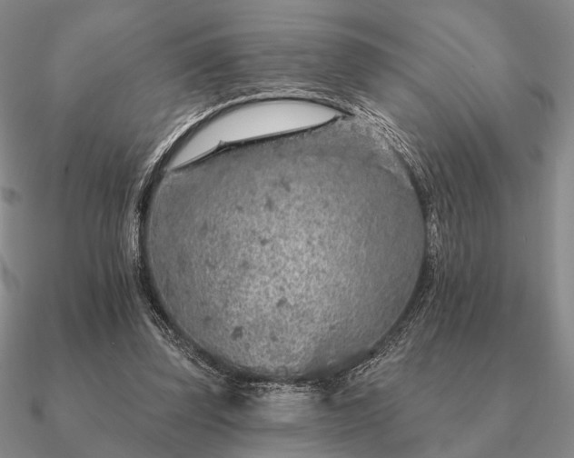 X0000090910347200708061527