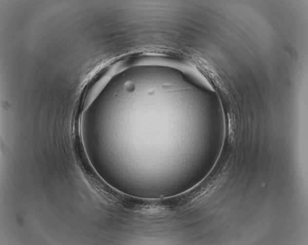 X0000090910348200708061527