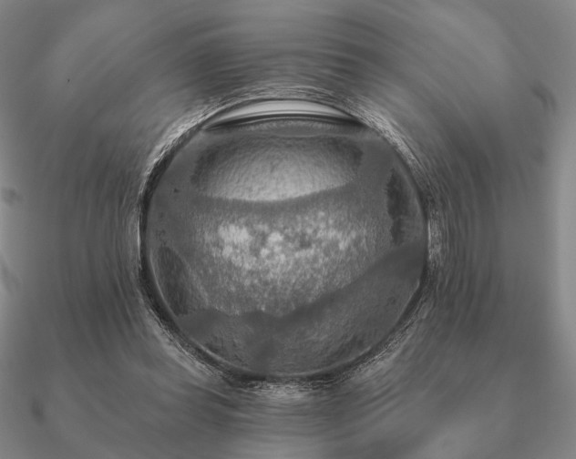 X0000090910349200708061527