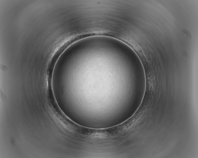 X0000090910350200708061527