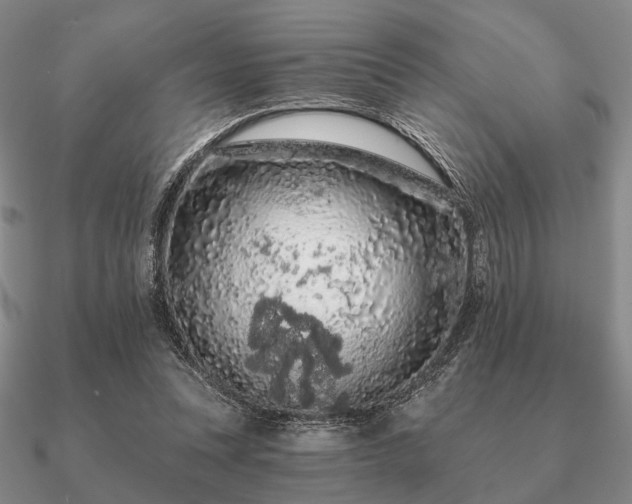 X0000090910351200708061527