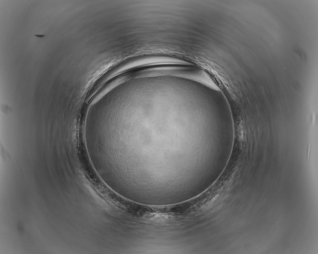 X0000090910352200708061527