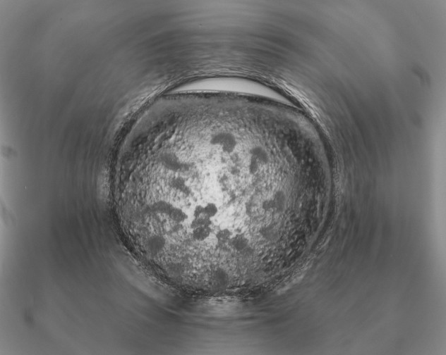 X0000090910353200708061527