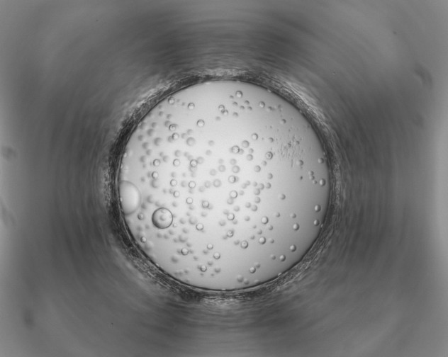 X0000090910354200708061527