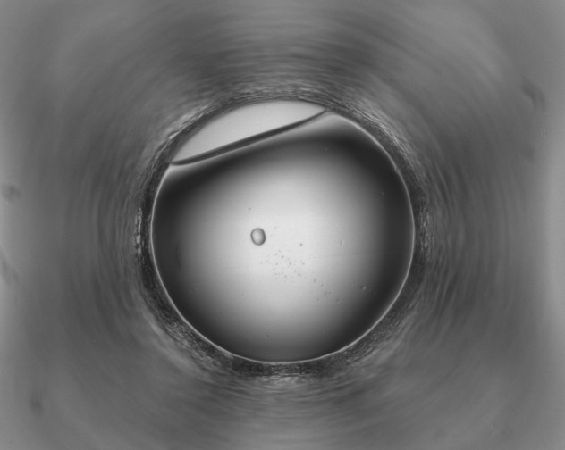 X0000090910356200708061527