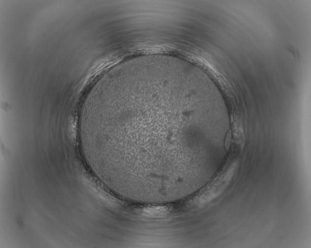 X0000090910357200708061527