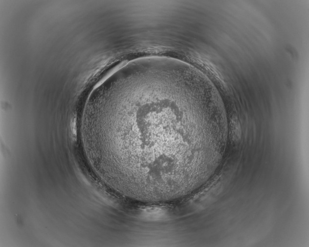 X0000090910358200708061527