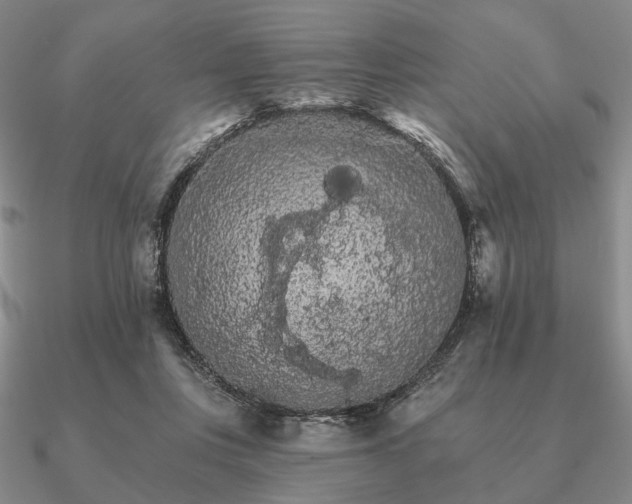 X0000090910359200708061527