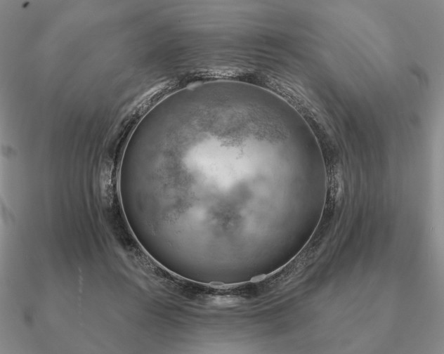 X0000090910360200708061527