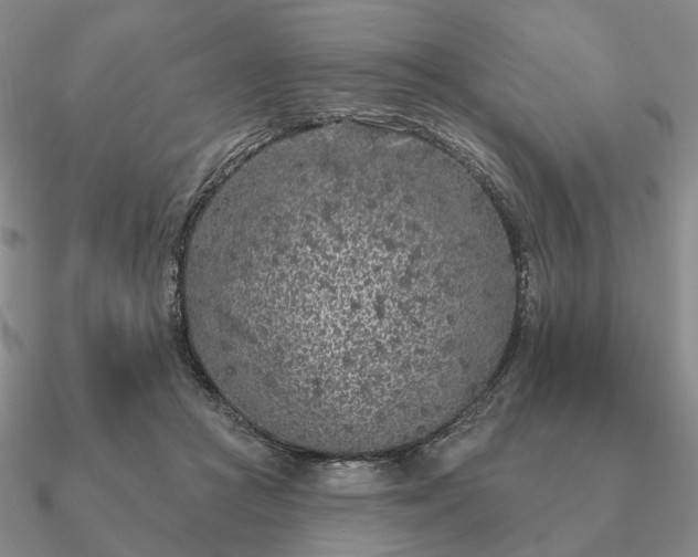 X0000090910361200708061527