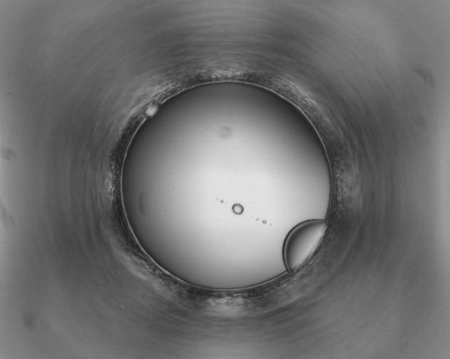 X0000090910362200708061527