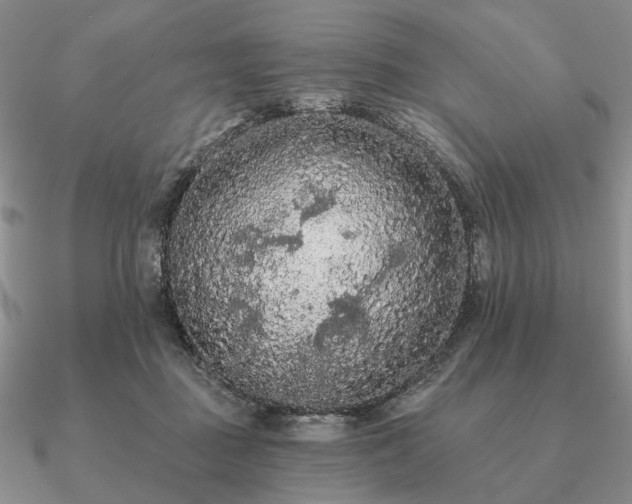 X0000090910363200708061527