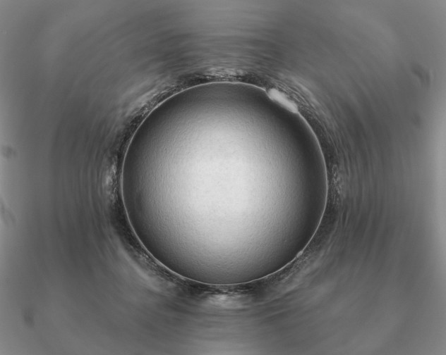 X0000090910364200708061527