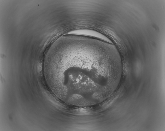 X0000090910365200708061527