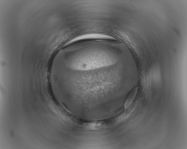 X0000090910366200708061527