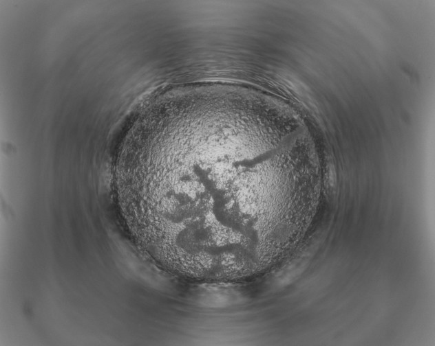 X0000090910367200708061527