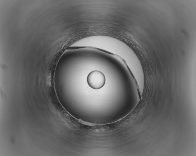 X0000090910368200708061527