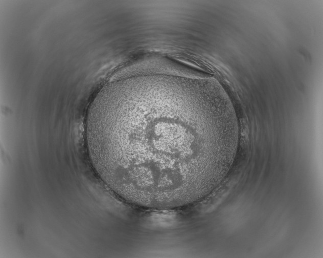 X0000090910369200708061527