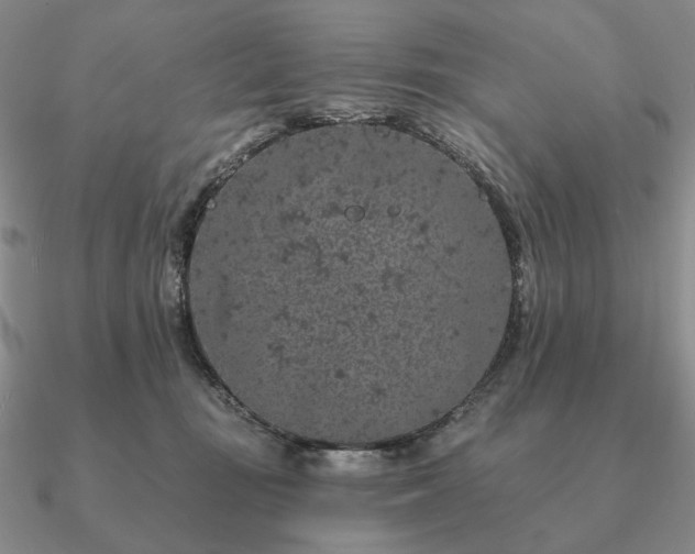 X0000090910371200708061527