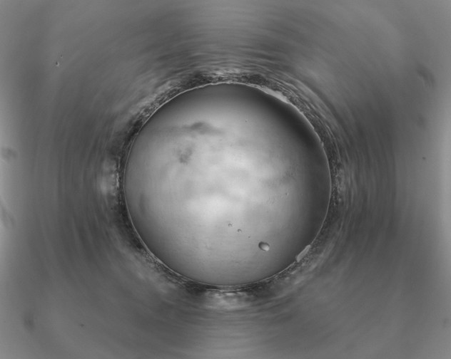 X0000090910372200708061527