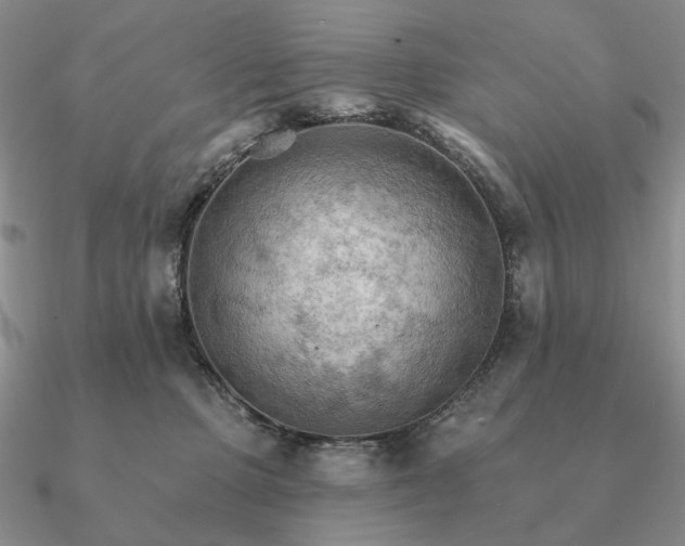 X0000090910373200708061527