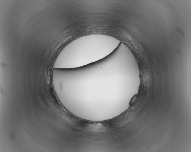 X0000090910374200708061527