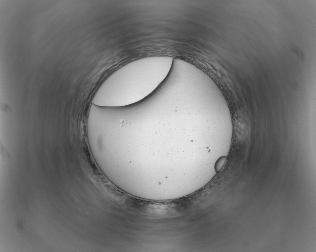 X0000090910375200708061527