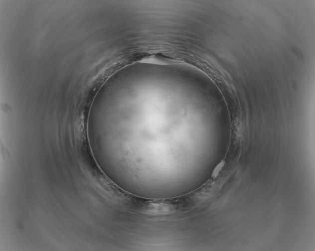 X0000090910376200708061527