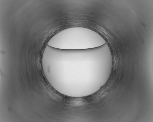 X0000090910377200708061527