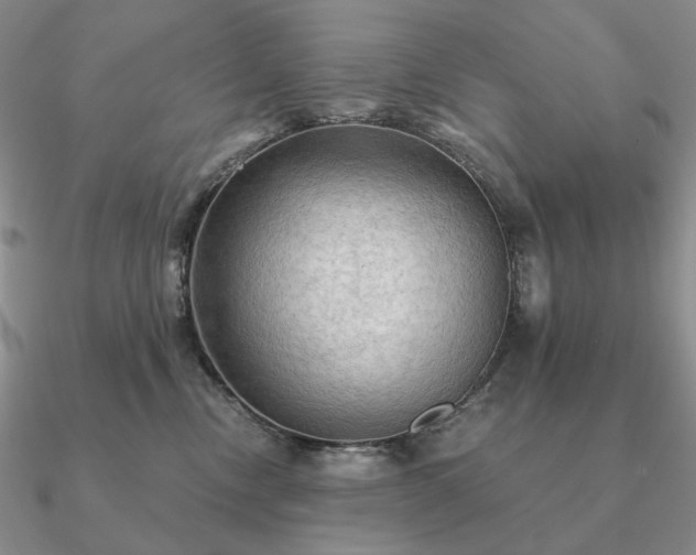 X0000090910378200708061527