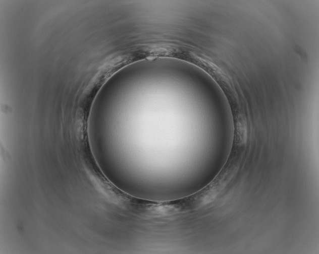 X0000090910379200708061527